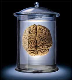 brain-in-jar